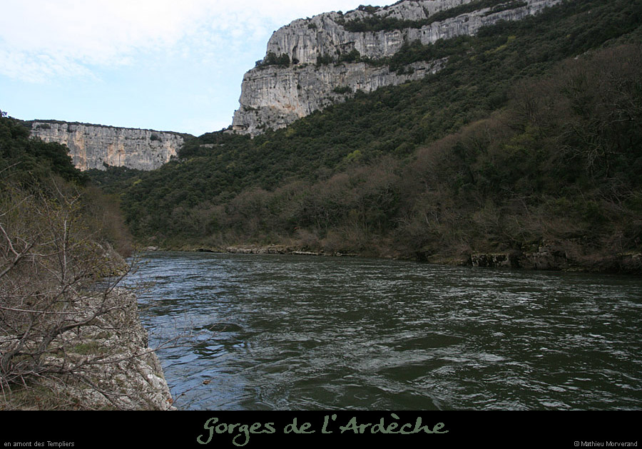 20100328_amtempliers1