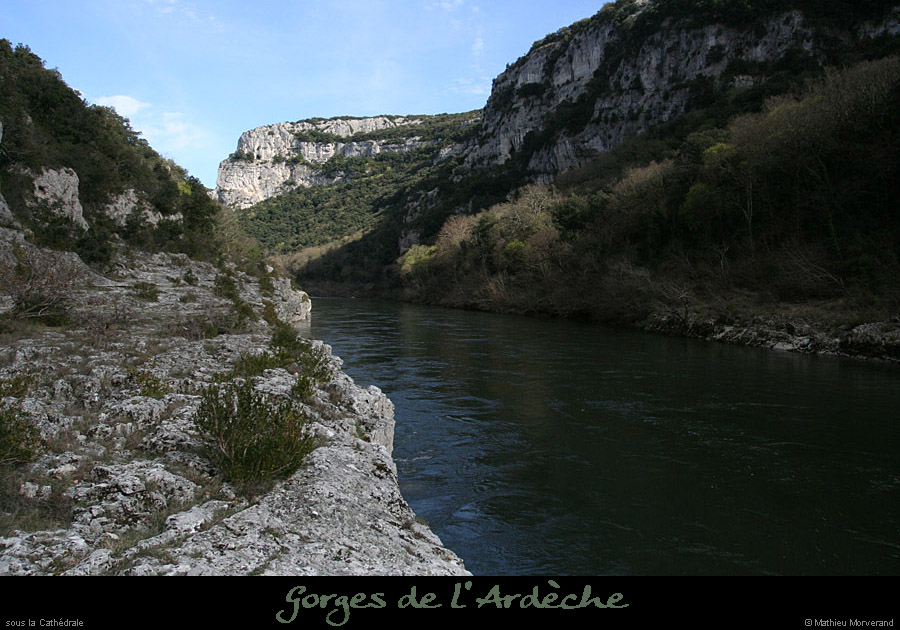 20100328_amtempliers2