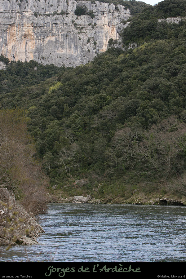 20100328_amtempliers6