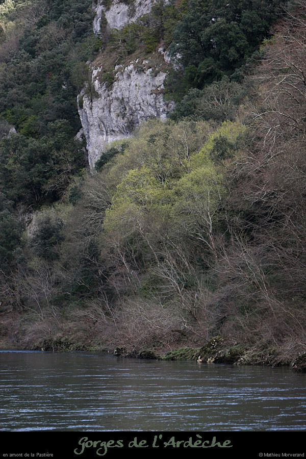 20100328_amtempliersrd3