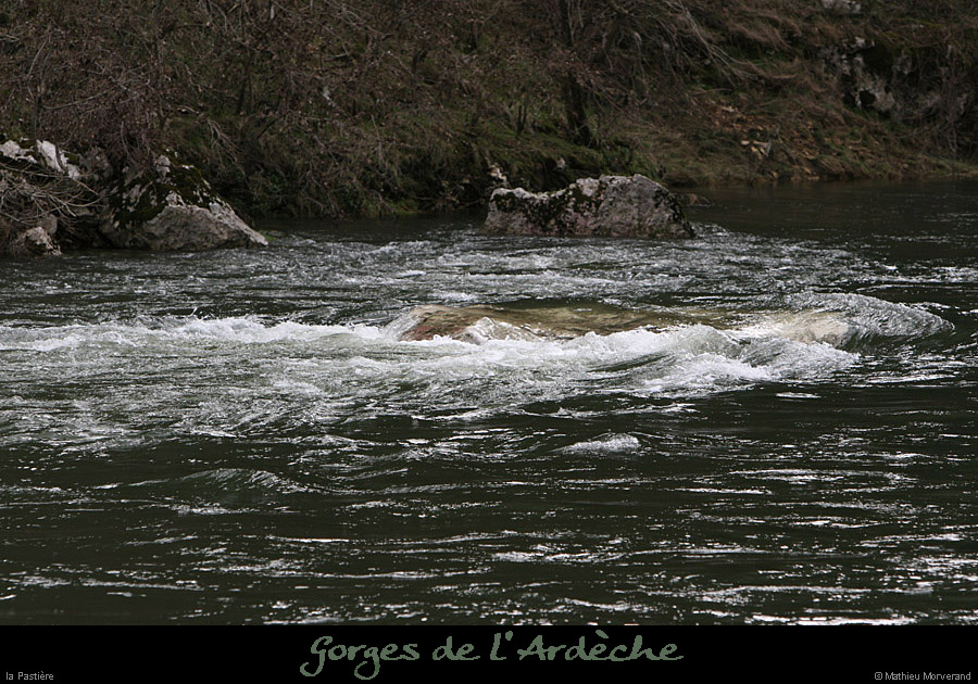 20100328_pastiere2