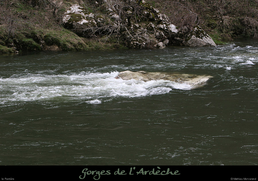 20100328_pastiere3