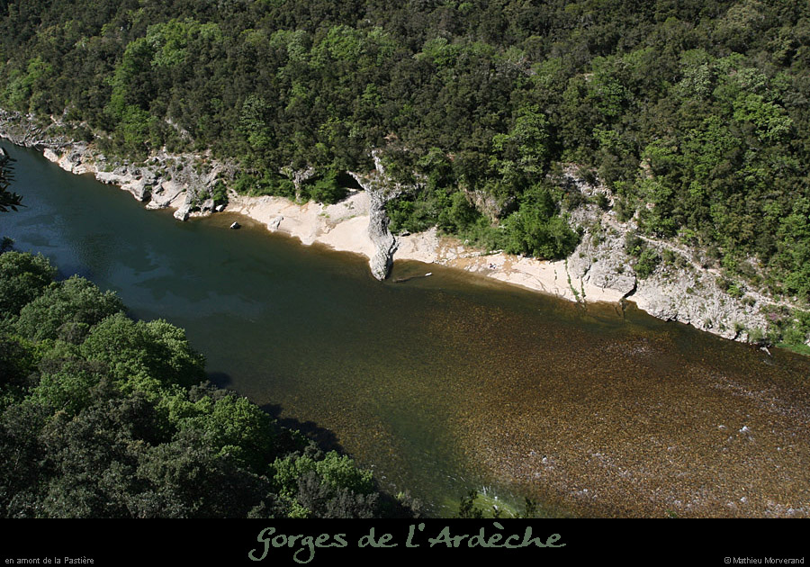 20100427_pastiereamrg2