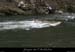 20100328_pastiere3