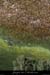 20100427_pastiere3