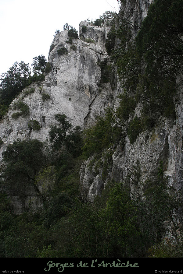 20100404_valaurie_vallon1