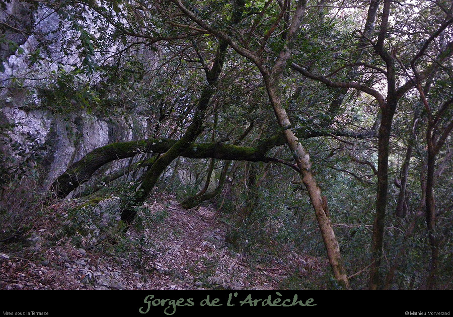 20100404_valaurie_vallonest