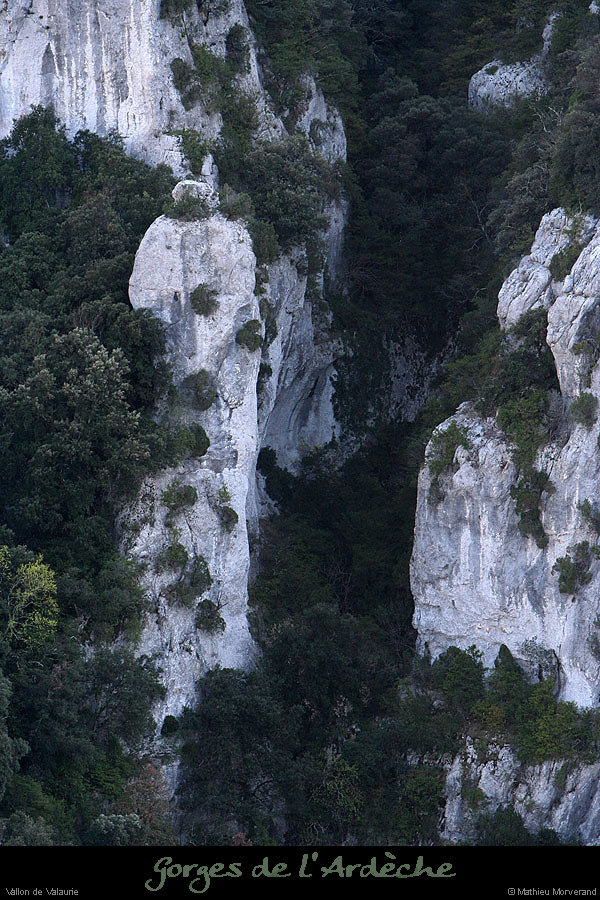 20100405_combevalaurie