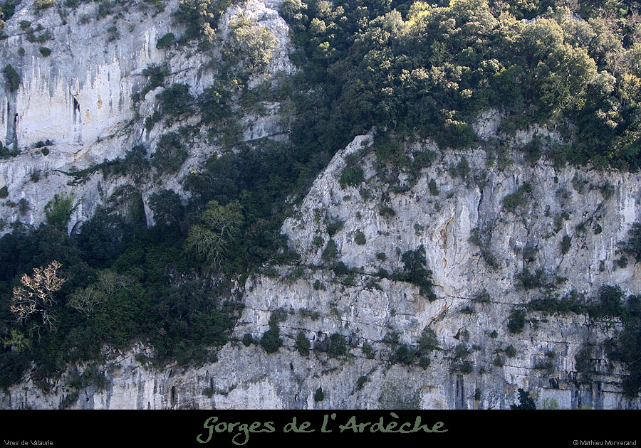 20100405_virevalauriederg1