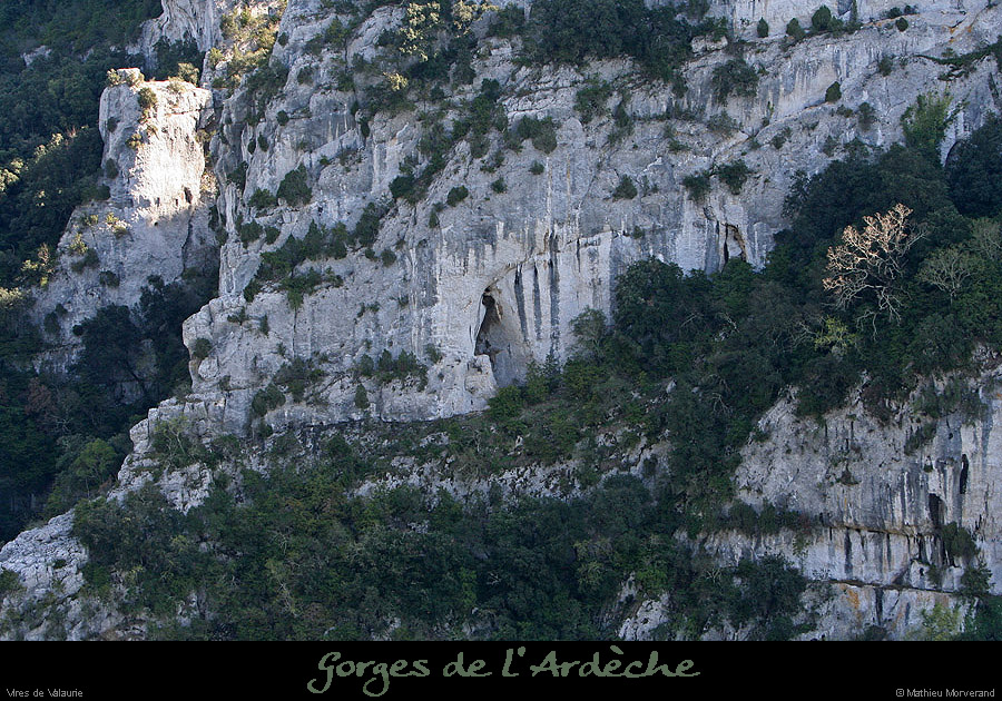 20100405_virevalauriederg2