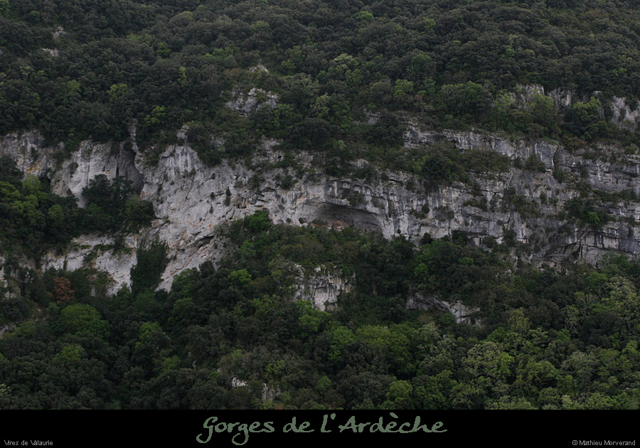 20100424_viresvalaurie