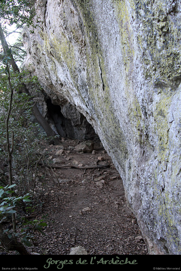 20110205_viresvalaurie_baumepresmarguerite