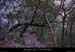 20100404_valaurie_vallonest