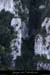 20100405_combevalaurie