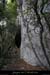 20100415_virevalaurie_lunettew1