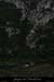 20100424_combevalauriederg1