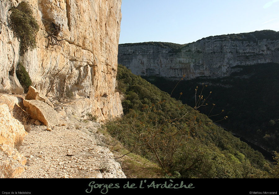 20080329_cirquemadeleine_falest15