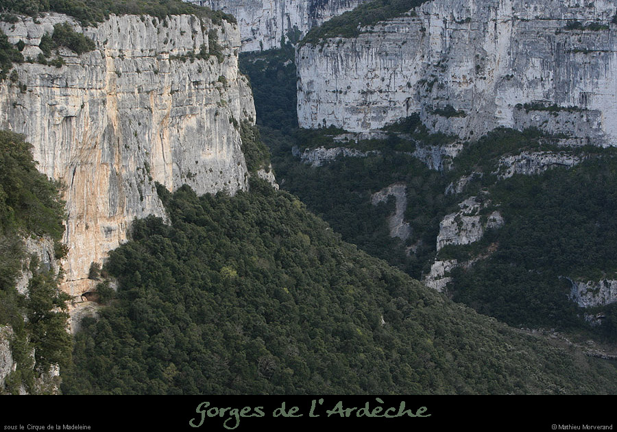 20100327_avcirquemadeleine5