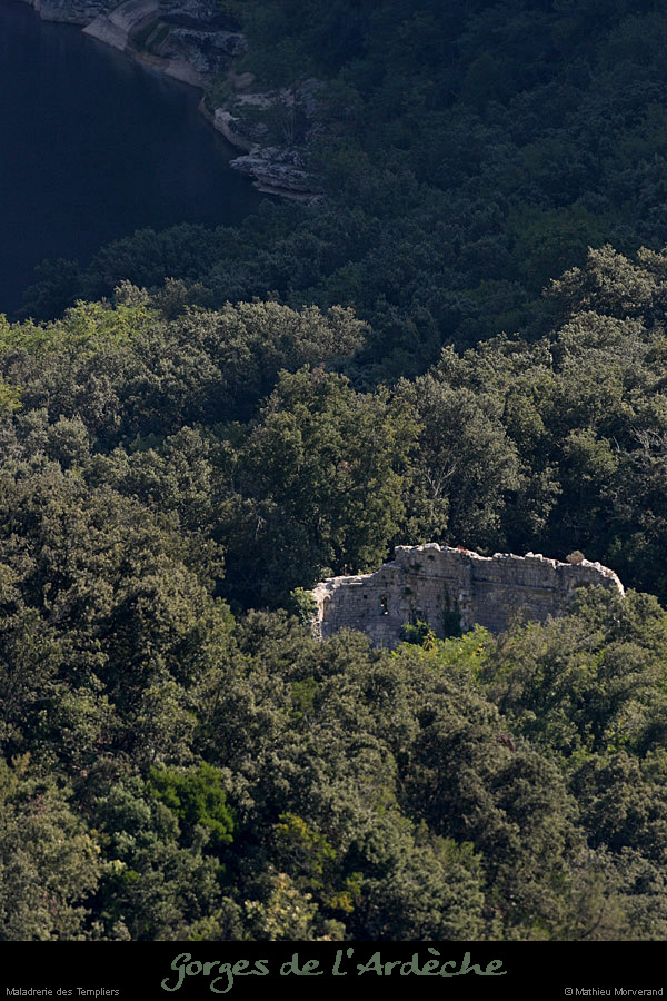 20080927_maladrerietempliers1