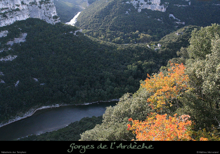 20081004_maladrerietempliers1