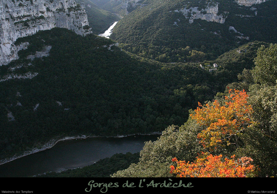 20081004_maladrerietempliers2