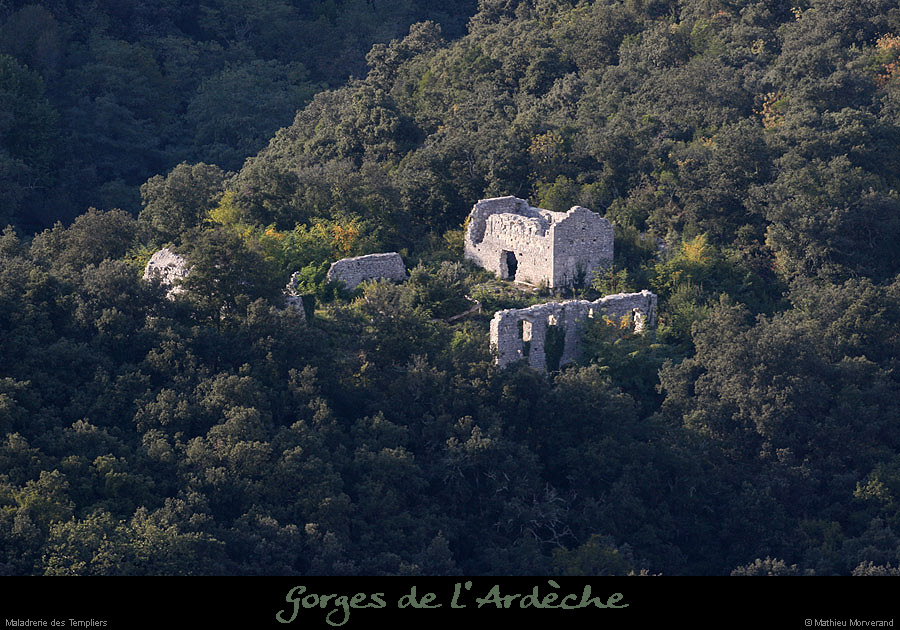 20081004_maladrerietempliers3