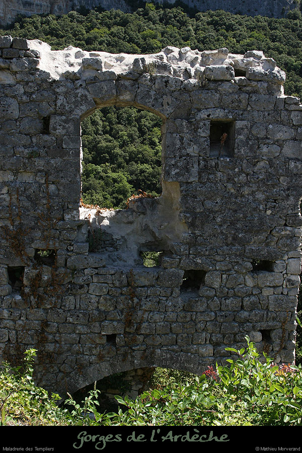 20090804_maladrerie04