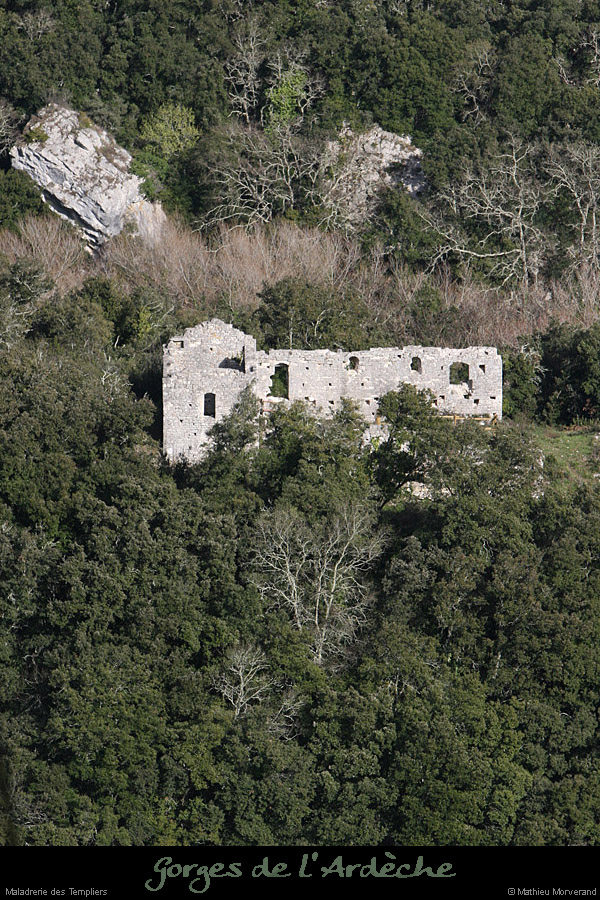 20100328_maladrerietempliers3