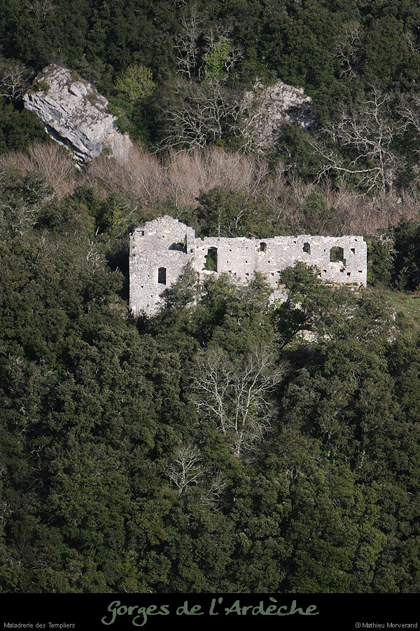 20100328_maladrerietempliers4