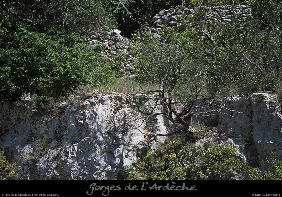 20110410_cirquemadeleine_ruinerivenord
