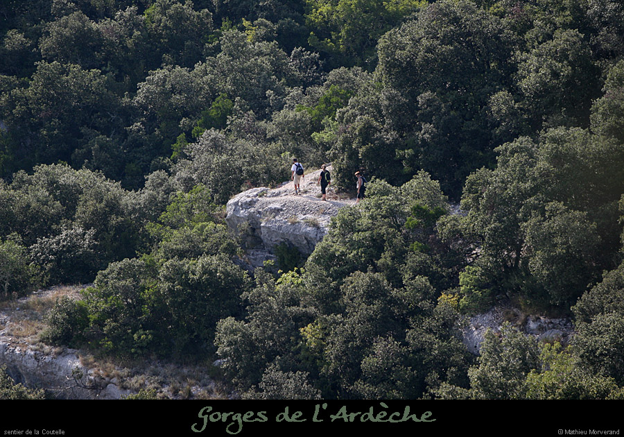 20080831_sentier_coutelle