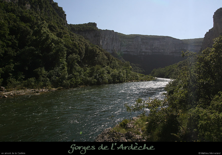 20080608_avalfeve2