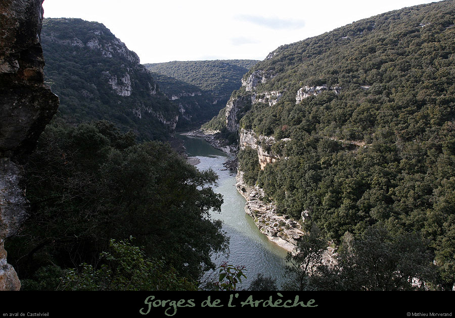 20100206_avcastelviel1