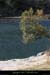 20071110_ldsauze4