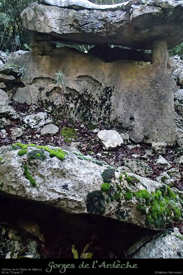 20151230_dolmenchanet2malbosc09
