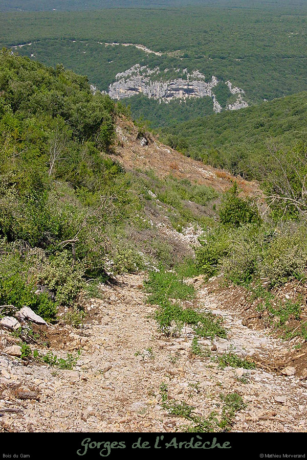 20010823_boisdugarn_cheminpresgorges_2