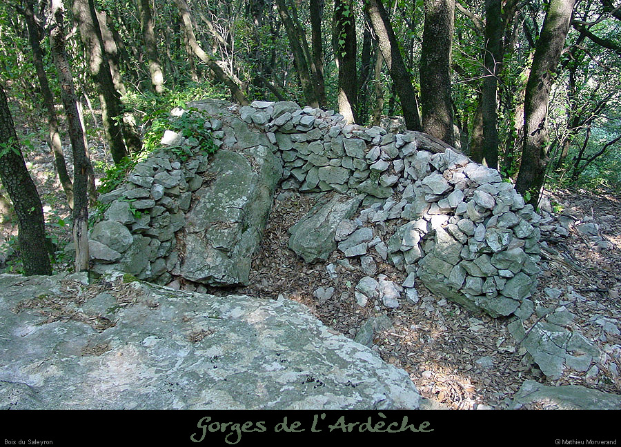 20030808_boisdesaleyron_ruine