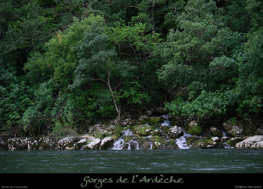 20080610_16