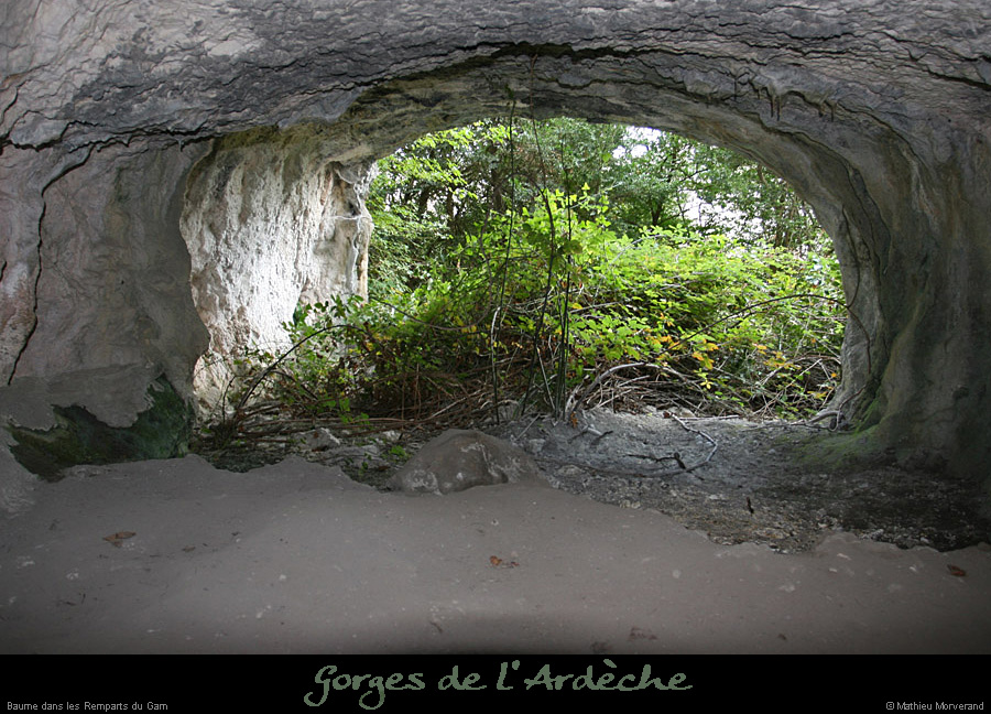 20080831_baumefalaiserempartsgarn2