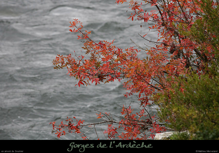 20091107_amgournierrg2