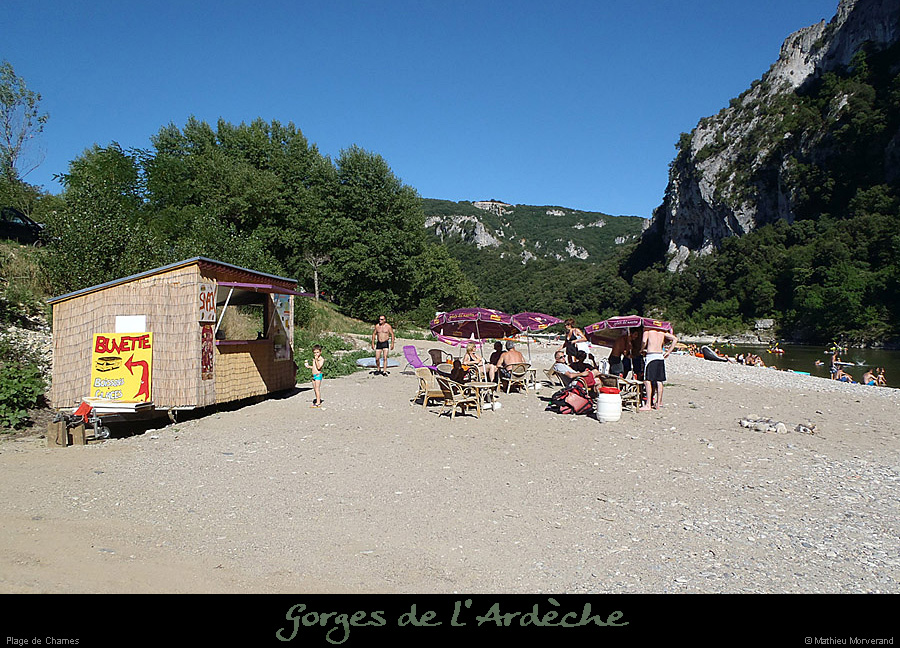 20130731_plagechames