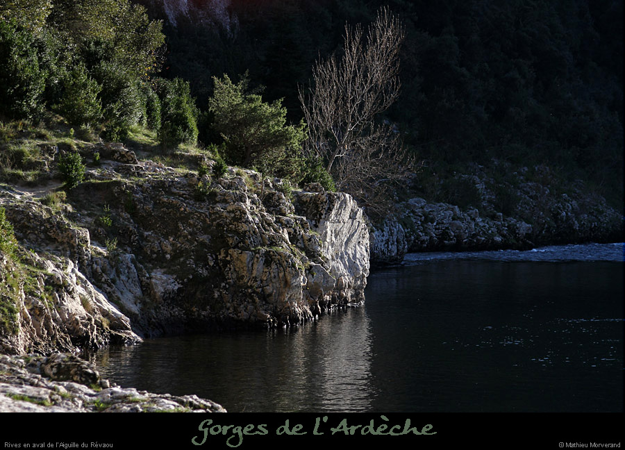 20131201_rivesenavaldurevaou