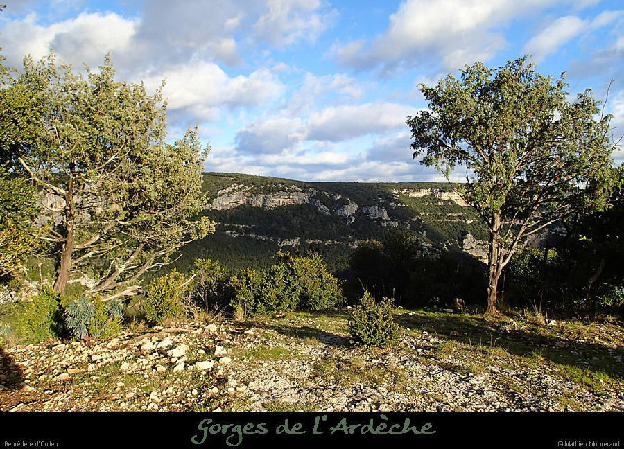 20131226_belvoullen3