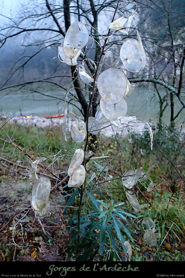 20131229_093