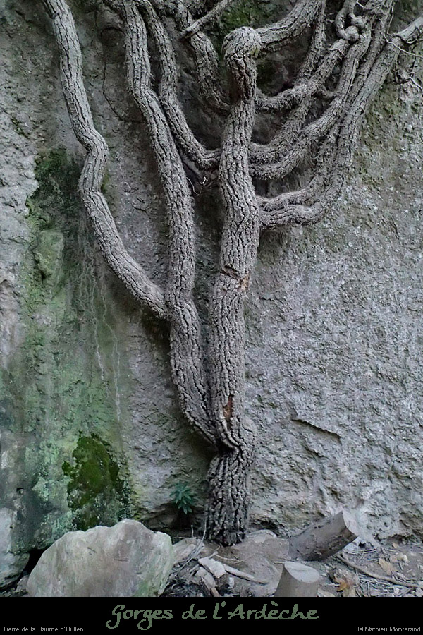 20131231_015