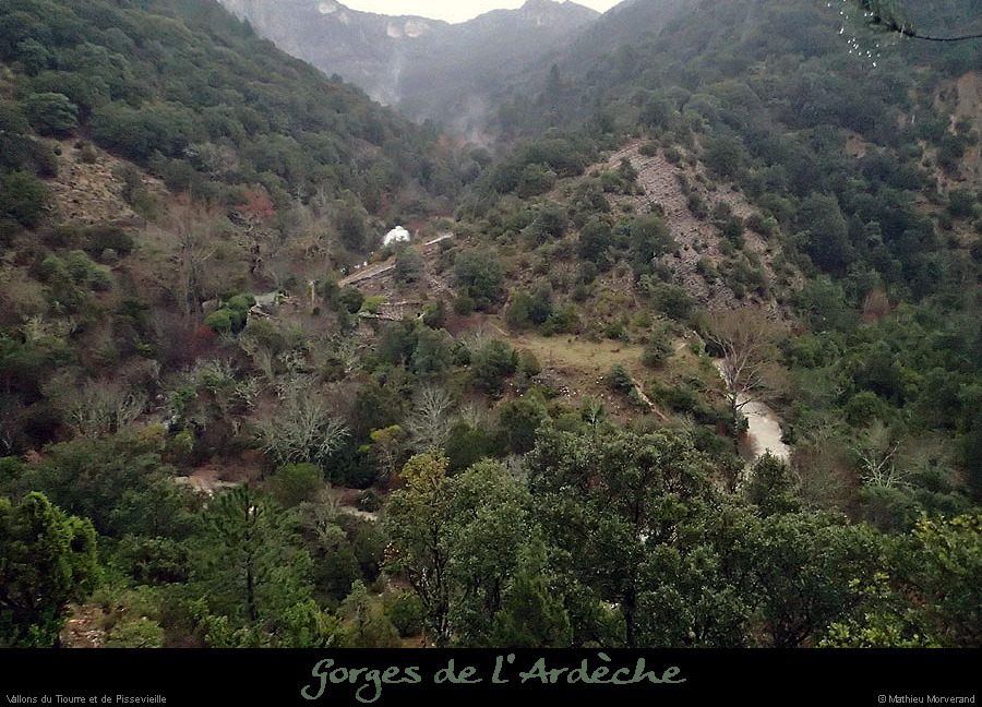 20140119_pissevieille02_16h39