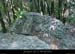 20030808_boisdesaleyron_ruine