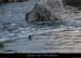 20071125_kayaks_cayrecreyt1