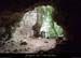 20130915_baumepresebbou4