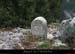 20131019_bornedelacornichedegaud2